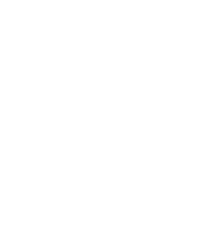 STËLZ logo