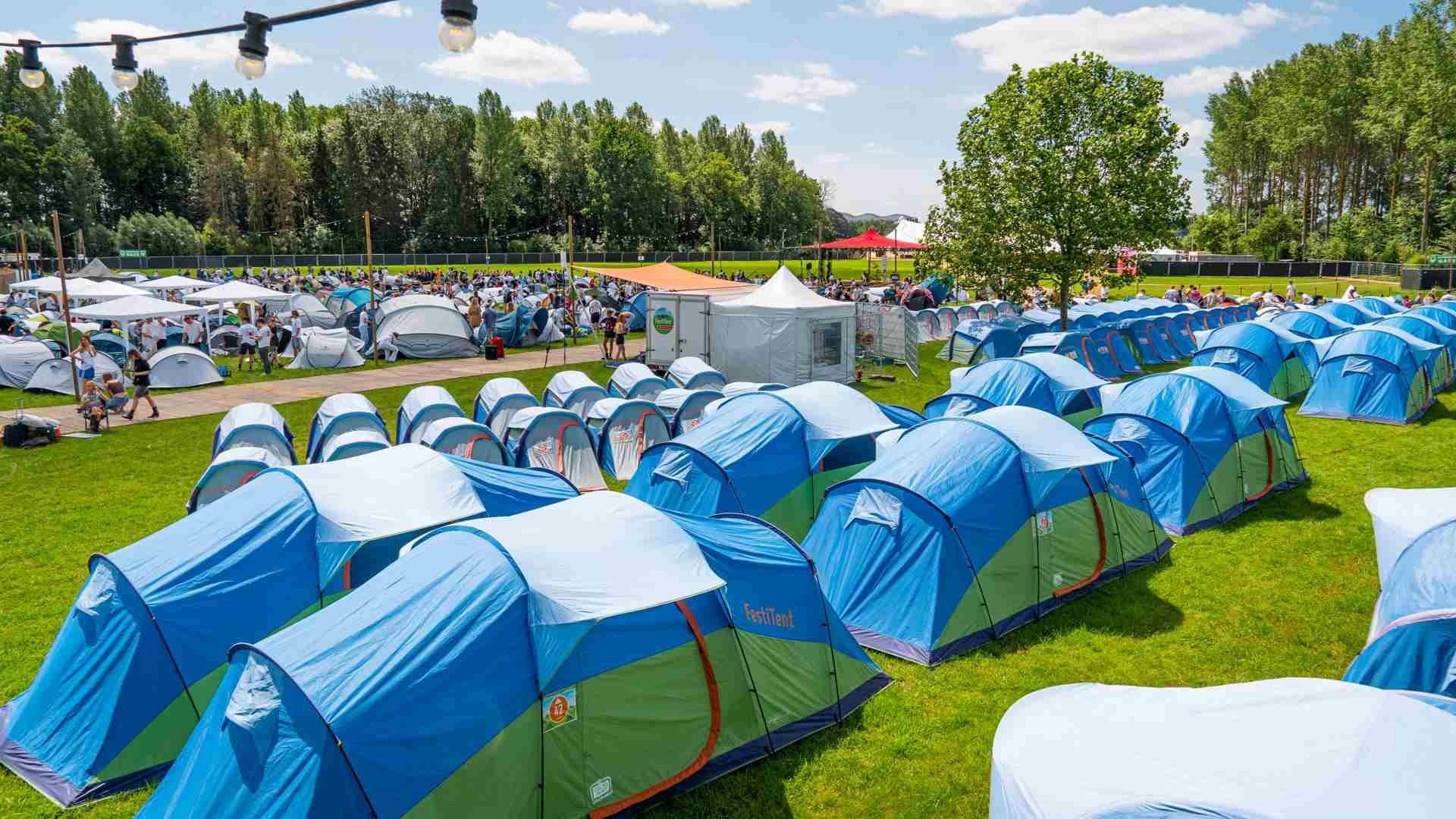 129908000004698574_forweb